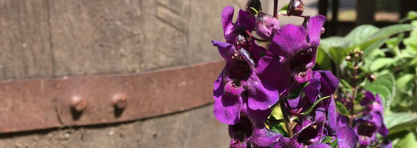 We know you.  We think like you.  Call Us!